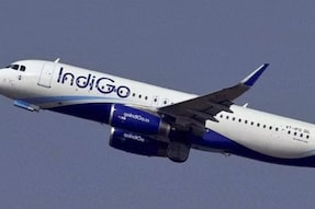 Indigo Flight,
